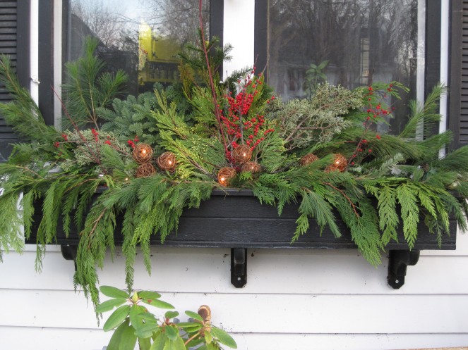 Winter Window Boxes – Mel's Green Garden